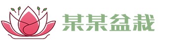 庄闲和游戏(中国)股份有限公司-官网
